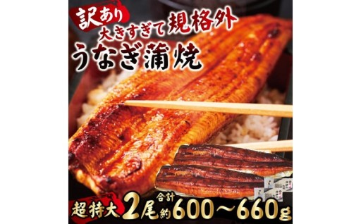 ＜訳あり＞ うなぎ 蒲焼き 2尾 計600g以上 (1尾あたり300g～330g×2尾)