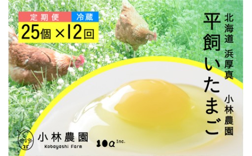 黄身はレモン色！無投薬・平飼い有精卵の定期便