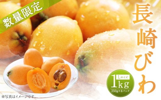長崎びわ 約1kg 約250g×4パック Lサイズ 【2026年5月下旬～6月上旬迄発送予定】