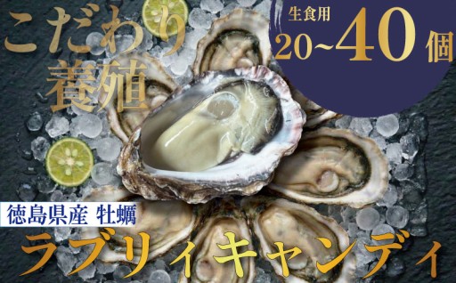 キャンディのように一口でぺろっと食べられるブランド牡蠣です！