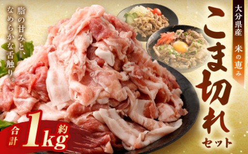 【おためし】 こま切れ 約1kg セット （約200g×5パック） 