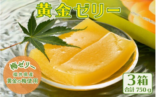 【🌻夏季限定🌻】福井らしい一枚流しの梅ゼリー｜6月上旬以降発送予定