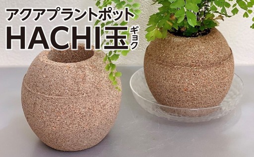 🪴忙しい日々に癒しの時間を！アクアプラントポットHACHI「玉(ｷﾞｮｸ)」🪴