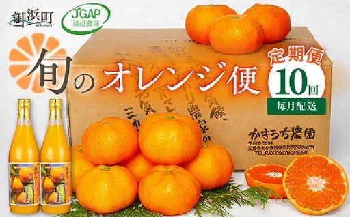 【🍊みかんの10回定期便🧡】かきうち農園のオレンジ便（全10回）