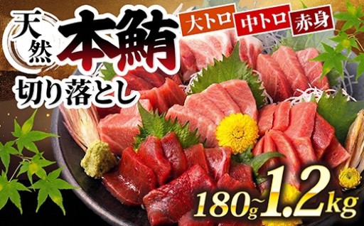 失敗しない！切り落とし！簡単調理の天然本鮪セット