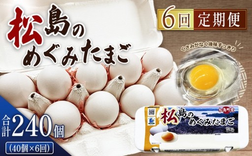 松島のめぐみたまご 40個入り 6ヵ月定期便