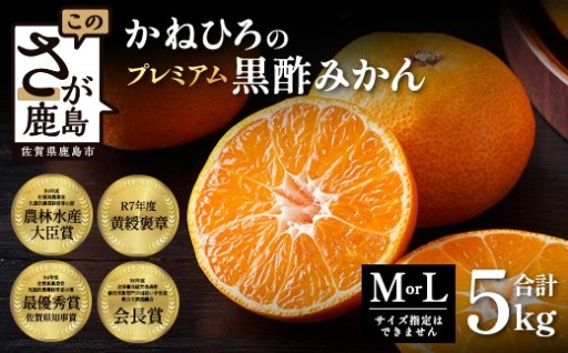 【2026年11月中旬頃～12月頃配送予定】プレミアム黒酢みかん 約5kg (M / Lサイズいずれか )
