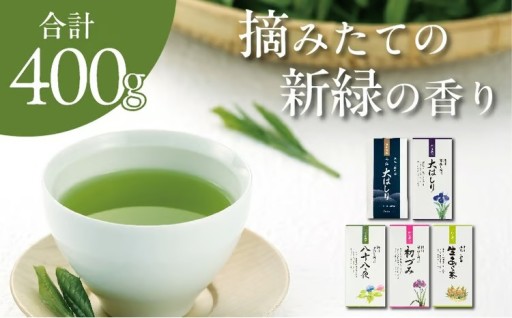 旬の香りを飲み比べ 5種の新茶 満喫セット 合計400g