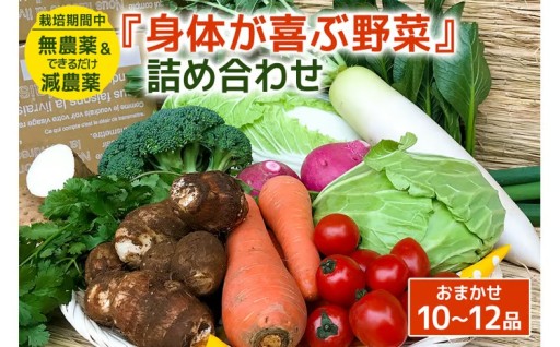 『身体が喜ぶ野菜』詰め合わせ (おまかせ 10～12品)