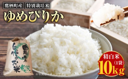【令和7年産】 ゆめぴりか （ 白米 ） 10kg
