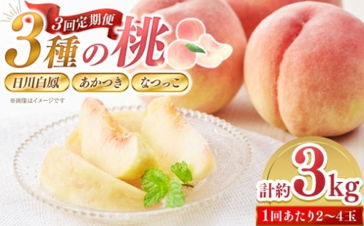 【 3回定期便 】3種の桃が楽しめる！計約3kg