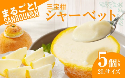 香り高い 三宝柑 をまるごとくり抜き、果汁たっぷりのシャーベット