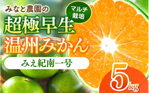みなと農園のみえ紀南一号 (超極早生) 約5kg