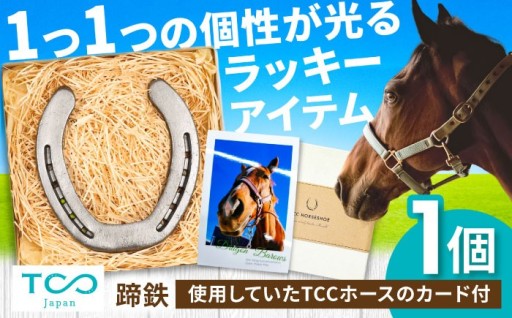 引退馬がセカンドキャリアを歩む栗東の蹄鉄