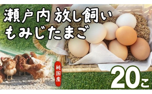 【平飼いたまご】手作り鶏舎の運動場を自由に走り回れる「完全放し飼い」育ちの、もみじ鶏の卵