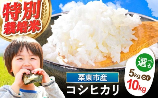 琵琶湖の恵みで育つ栗東産コシヒカリ5kg