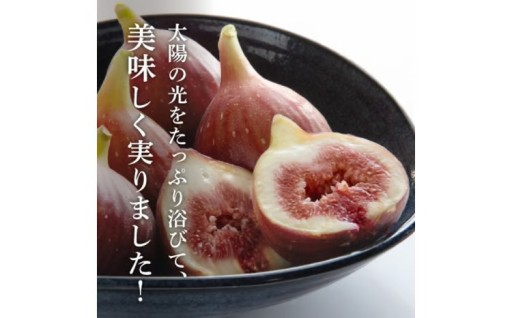 ミズノ農園完熟いちじくDXパック 500g×2P
