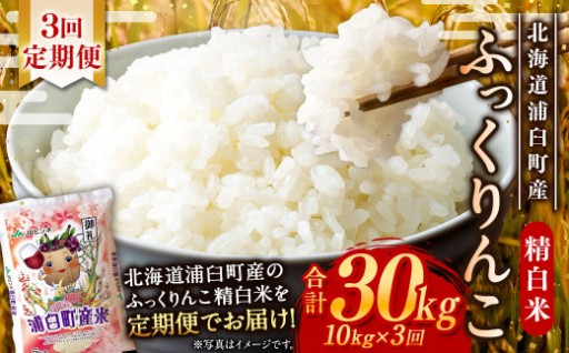 【3回定期便】＜令和8年産＞浦臼産ふっくりんこ 精白米 10kg（5kg×2袋）
