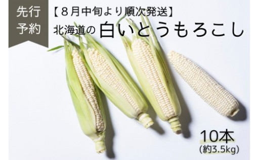  【先行予約】夏限定お届け!フルーティな甘み! ロイシーコーン 10本セット