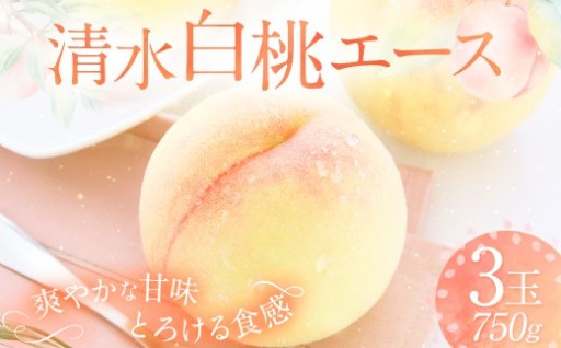 清水白桃 エース 3玉 約750g 【2026年7月上旬～7月下旬発送予定】 