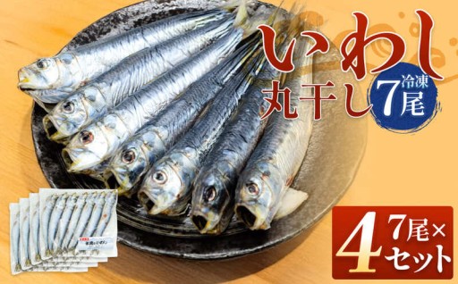 ＼ふっくら、ジューシー。生のいわしをそのまま干物に。／ いわし丸干し（7尾） × 4セット