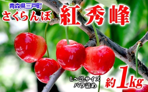 さくらんぼ「紅秀峰」2026年産の先行予約　受付開始！【青森県三戸町】