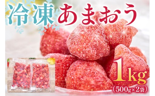 【スムージー🥤やスィーツ🍰にも】福岡産 冷凍あまおう 合計1kg 500g×2袋🍓