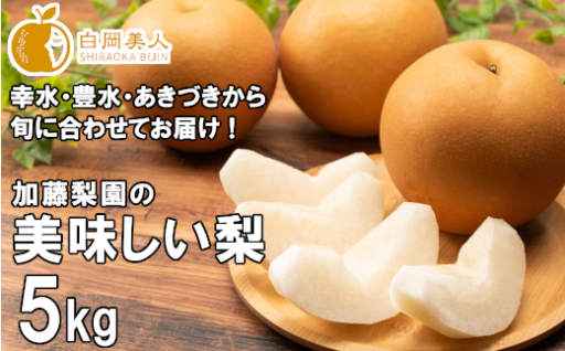 【2026年発送分】加藤梨園の梨 約5kg