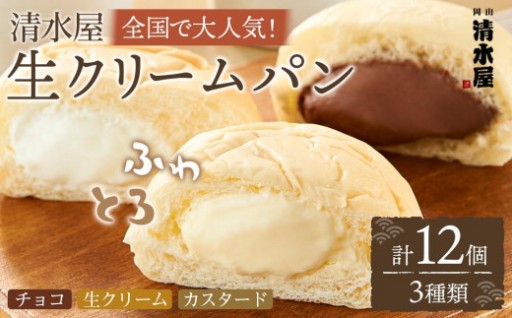 ＜究極のふわとろ食感＞清水屋 生クリームパン 12個 3種