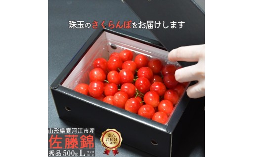 《産直だからできる新鮮・安心発送》さくらんぼ！