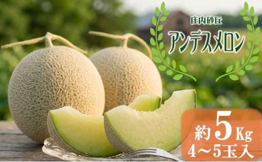 庄内砂丘 アンデスメロン ☆ 4～5玉(約5kg)
