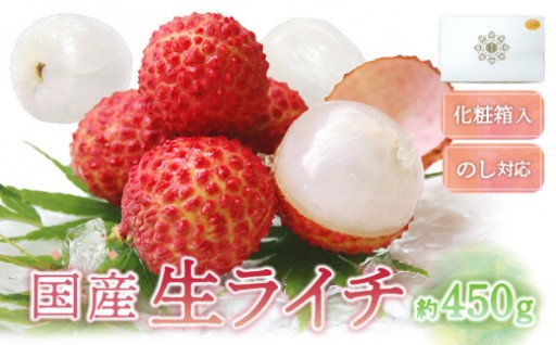 【先行予約/数量限定】希少 国産 綾生ライチ（化粧箱入り）