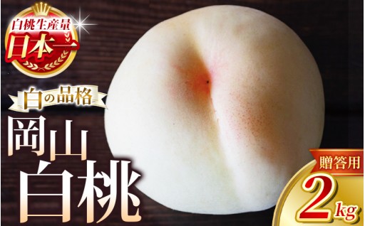 晴れの国 岡山は「白桃」の生産量日本一！