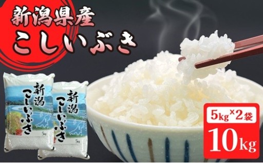 新潟県胎内市産こしいぶき10kg（5kg×2袋）