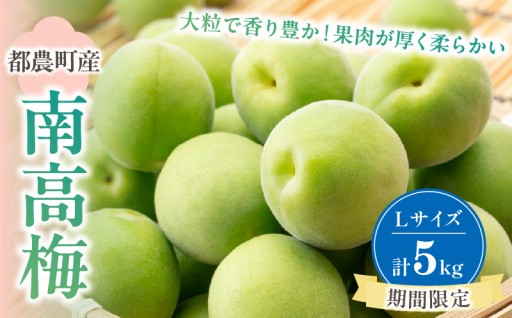 【宮崎県都農町】＼📢先行予約受付中!!📢／都農町産「南高梅(Lサイズ)」計5kg🎁