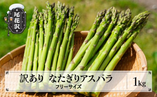 数量限定 令和8年産 訳あり なたぎりアスパラ 1kg