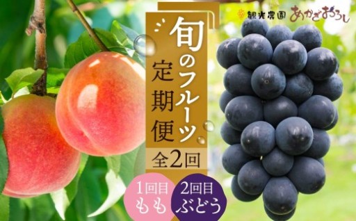 フルーツの定期便が登場！