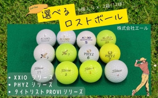 【人気の返礼品】高品質ロストボールセット！