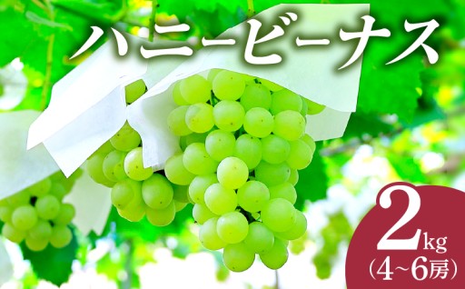 【宮崎県都農町】📢先行予約受付中📢『都農町産ハニービーナス🍇』計2kg
