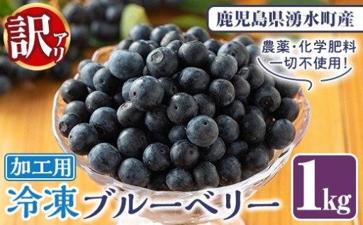 《先行予約受付中！》《訳あり・加工用》冷凍ブルーベリー(1kg)【体験型観光農園さつまドリームファーム】