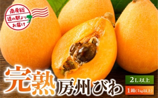 【南房総・道の駅よりお届け】完熟『房州びわ』