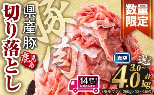 豚肉 小分け 切り落とし　(計3.0～4.0kg)