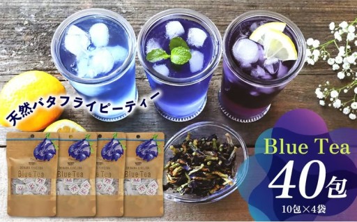 久米島産 天然バタフライピーティー「Blue Tea」40包 