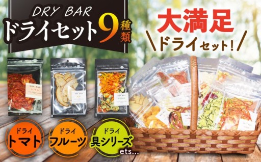 DRY BAR  ドライトマト2種＆乾燥野菜・ドライフルーツ 9種類セット