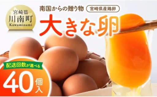 「南国からの贈り物」大きな卵40個入り