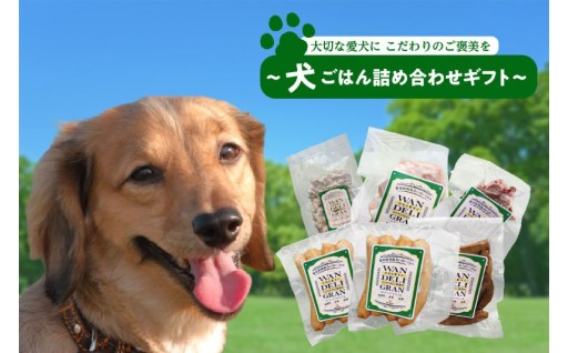 大切な愛犬に🐶こだわりのご褒美を～犬ごはん詰め合わせギフト～