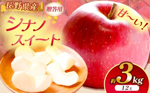 りんご 信州 上伊那産 贈答用 シナノスイート 約3kg （12玉） 