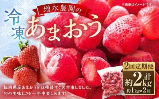 【 2回定期便 】 増永農園のあまおう冷凍いちご 約1kg