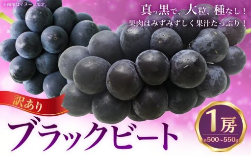 （訳あり） ブラックビート 1房 約500～550g