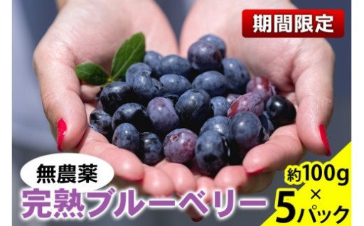 ★出荷間近★パリッと甘酸っぱい旬のブルーベリー